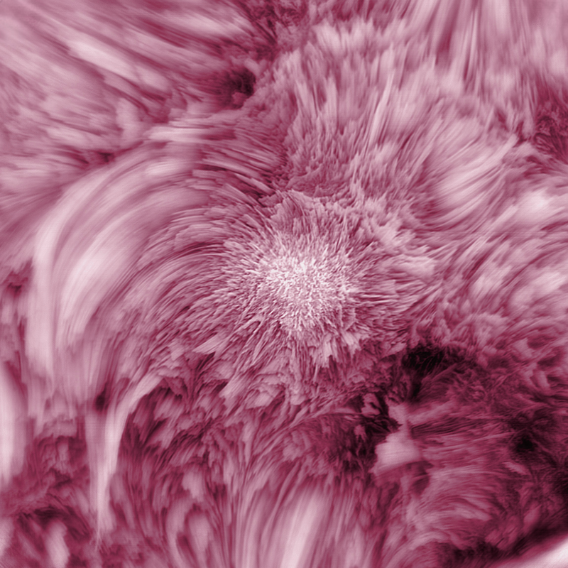 Illustration for article titled Can You Guess The Subject Of This Photo?